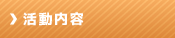 活動内容